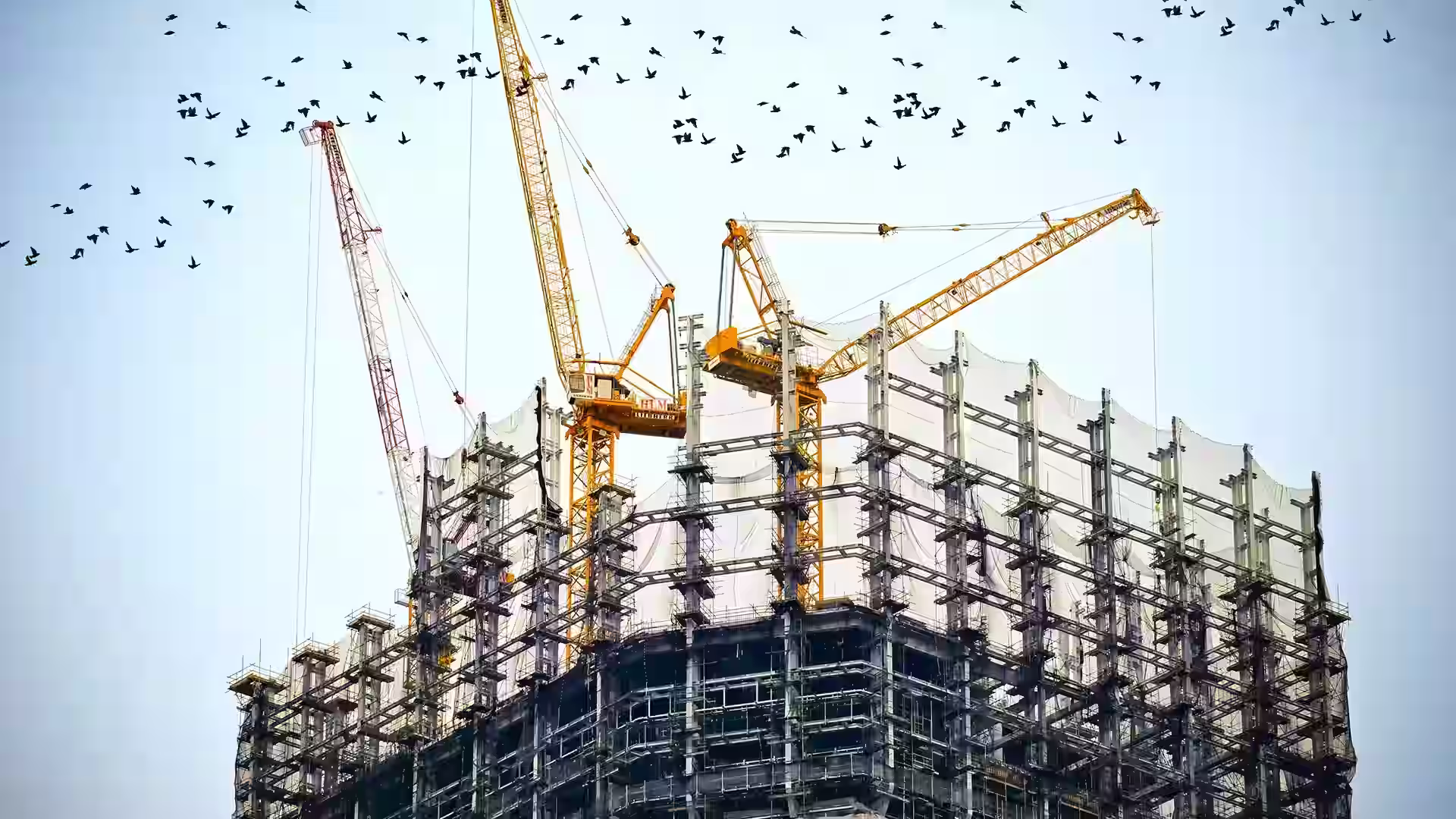 Industry Background